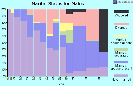 Zip code 55805 marital status for males