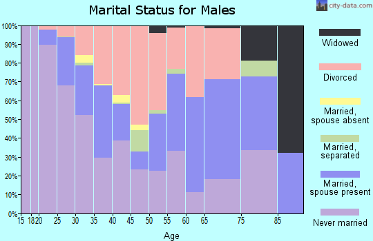 Zip code 55806 marital status for males