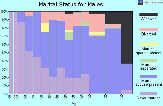 Zip code 55807 marital status for males