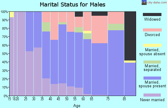Zip code 55808 marital status for males