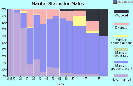 Zip code 55810 marital status for males