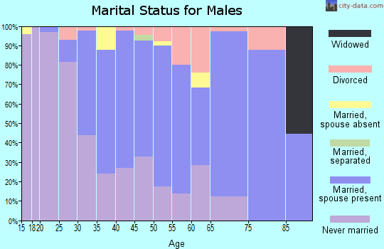Zip code 55812 marital status for males