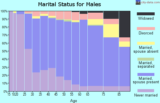 Zip code 55901 marital status for males
