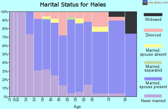 Zip code 55906 marital status for males