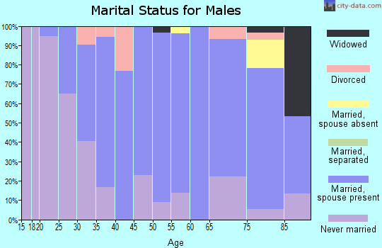 Zip code 55909 marital status for males