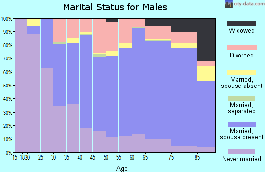 Zip code 55912 marital status for males