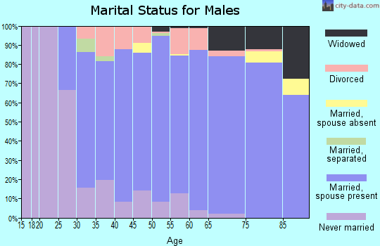 Zip code 55917 marital status for males