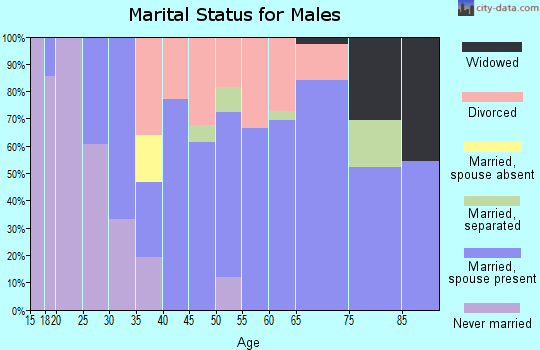 Zip code 55918 marital status for males