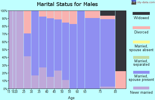 Zip code 55919 marital status for males