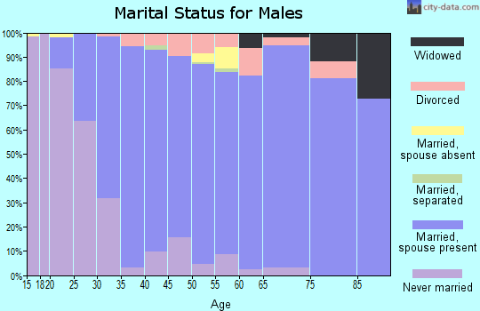 Zip code 55920 marital status for males