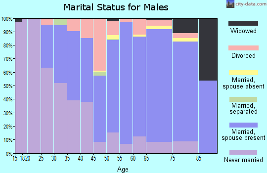 Zip code 55921 marital status for males