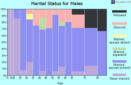 Zip code 55922 marital status for males