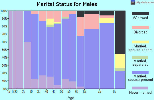 Zip code 55923 marital status for males