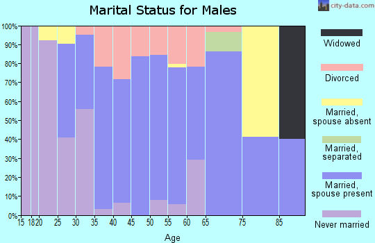 Zip code 55924 marital status for males