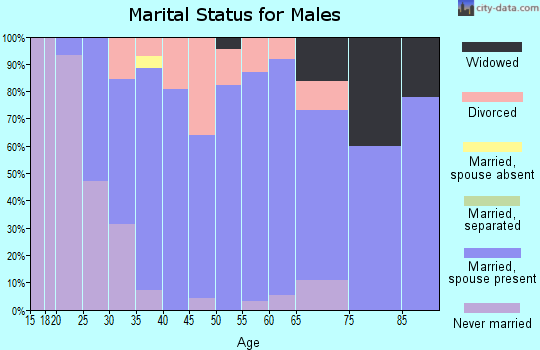 Zip code 55925 marital status for males