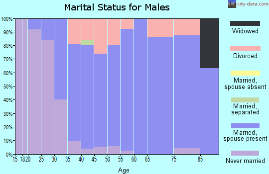 Zip code 55926 marital status for males