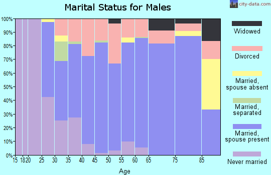 Zip code 55927 marital status for males
