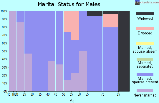 Zip code 55931 marital status for males