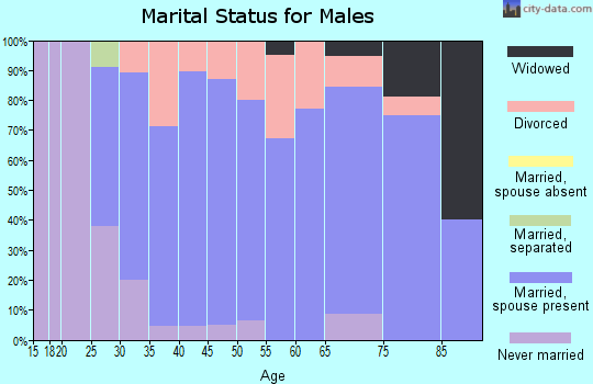 Zip code 55932 marital status for males