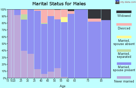 Zip code 55934 marital status for males