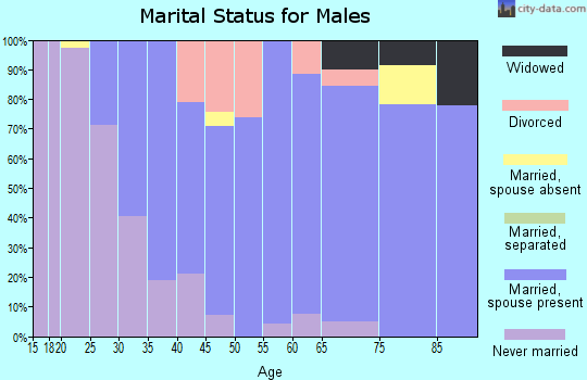 Zip code 55935 marital status for males