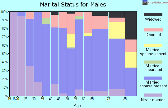 Zip code 55936 marital status for males