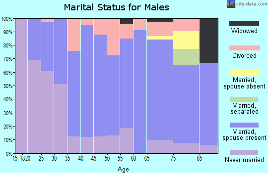 Zip code 55939 marital status for males