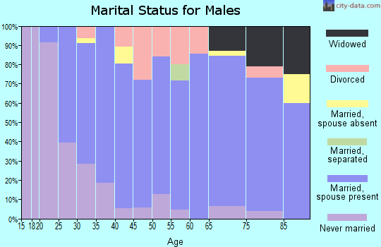 Zip code 55940 marital status for males