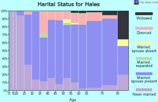 Zip code 55943 marital status for males