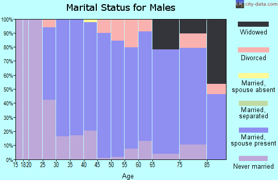 Zip code 55944 marital status for males