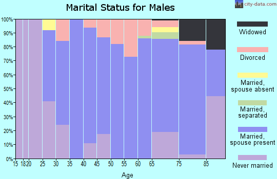 Zip code 55945 marital status for males