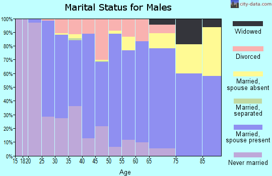 Zip code 55946 marital status for males