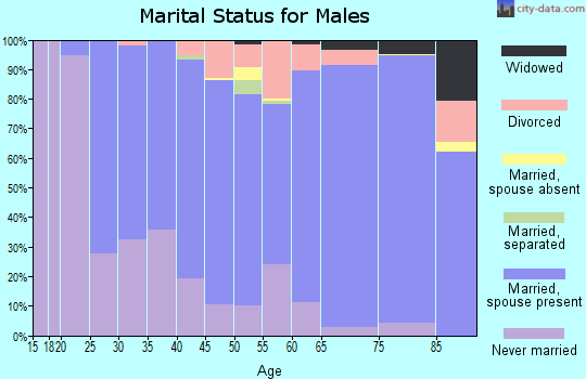 Zip code 55947 marital status for males