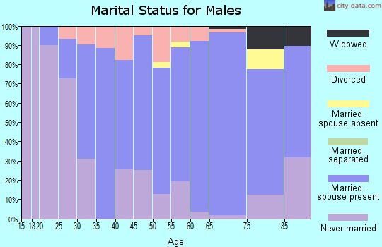 Zip code 55949 marital status for males