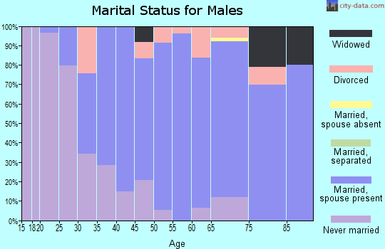 Zip code 55951 marital status for males