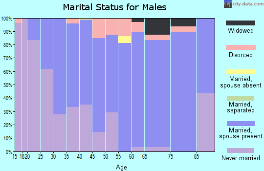 Zip code 55952 marital status for males
