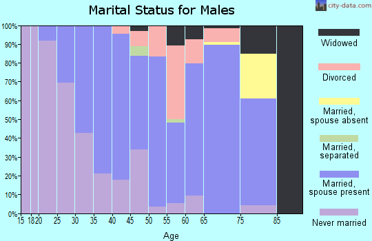 Zip code 55954 marital status for males
