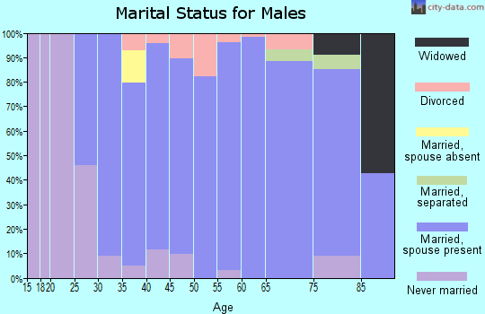 Zip code 55955 marital status for males
