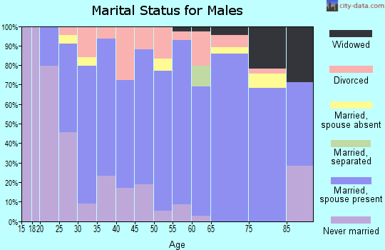Zip code 55956 marital status for males