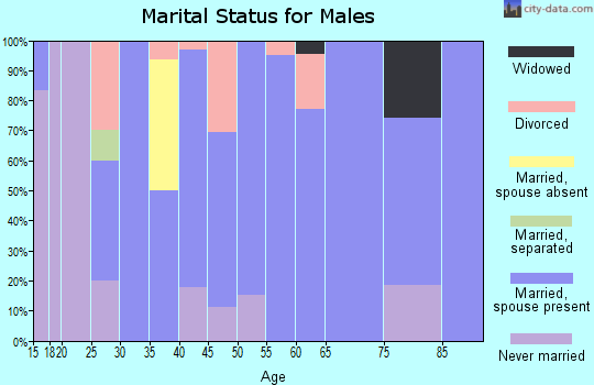 Zip code 55957 marital status for males
