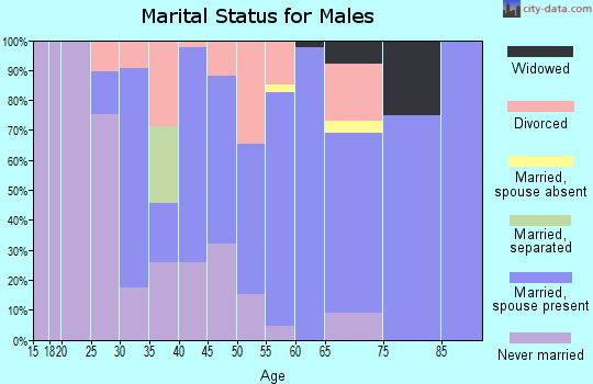 Zip code 55959 marital status for males