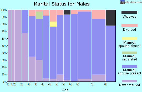 Zip code 55960 marital status for males