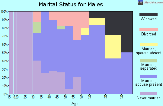 Zip code 55961 marital status for males