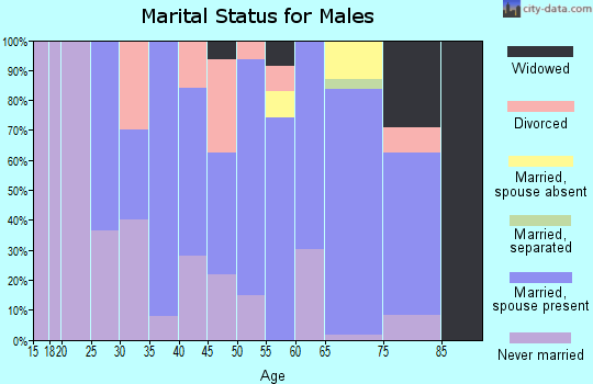 Zip code 55962 marital status for males