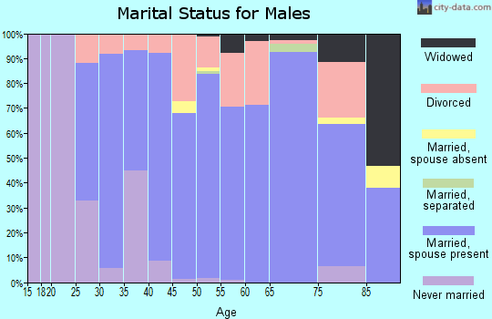 Zip code 55963 marital status for males