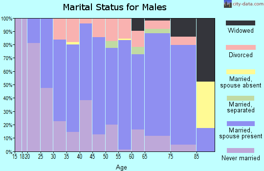 Zip code 55965 marital status for males