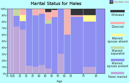Zip code 55967 marital status for males
