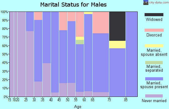 Zip code 55969 marital status for males