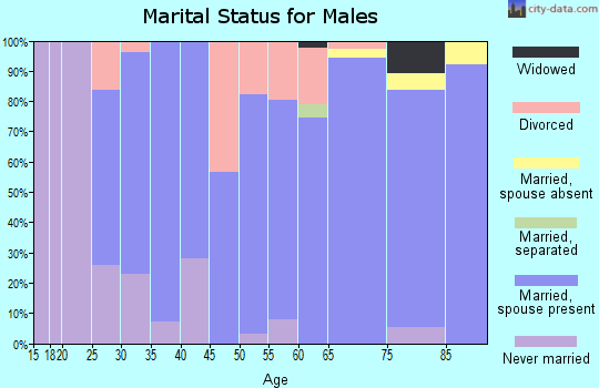 Zip code 55970 marital status for males