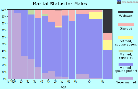 Zip code 55971 marital status for males